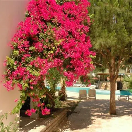 Отель Summer Sun Beach 4*